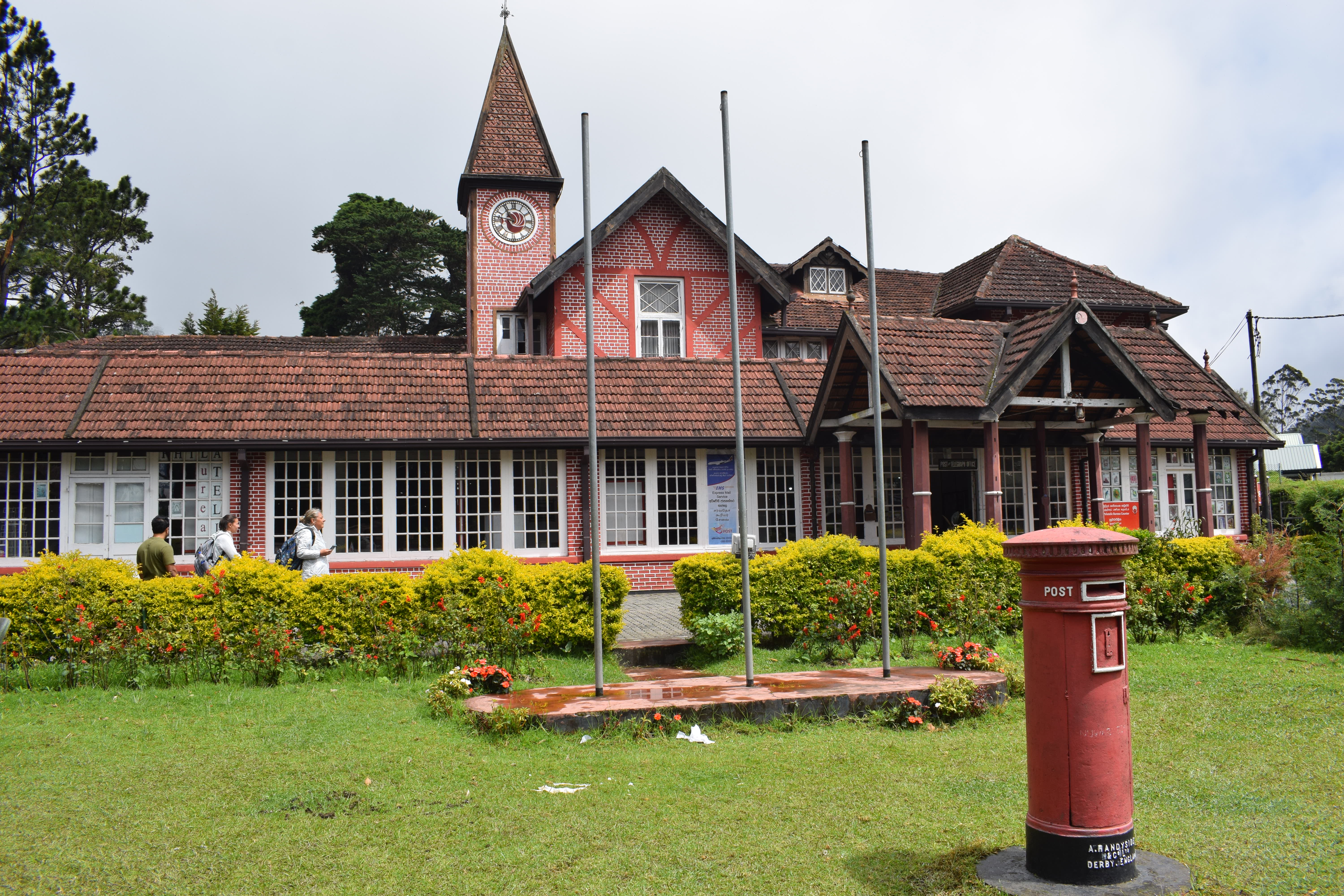 Tea Plantation